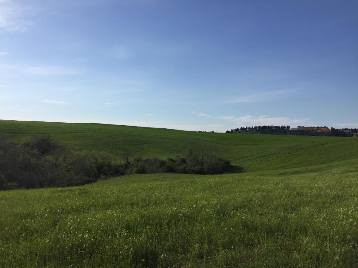 Agriturismo San Leone Volterra Eksteriør billede